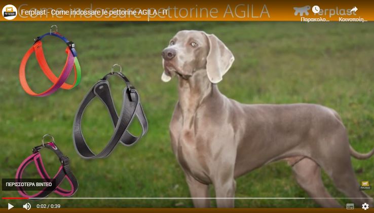 FERPLAST AGILA Εργονομική ζώνη στήθους για σκύλους με ελαστικό κλείσιμο κορδονιού