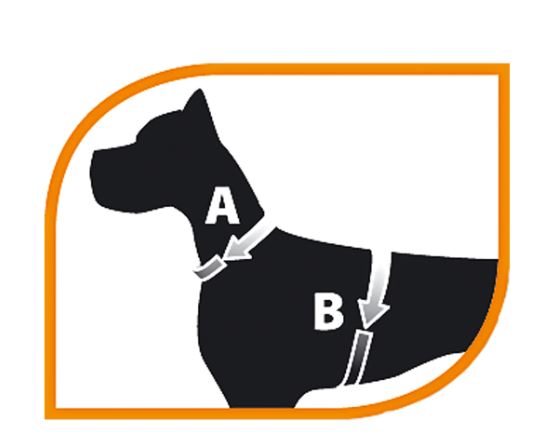 FERPLAST Εργονομική ζώνη στήθους για σκύλους με μαλακή επένδυση και ελαστικό κλείσιμο κορδονιού 2