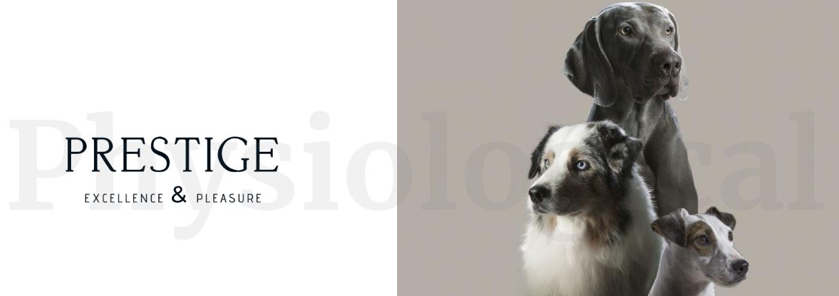 Pro Nutricion Dog Protect Dermato banner2 petwithlove