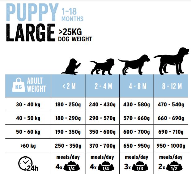 ΟΔΗΓΟΣ ΔΙΑΤΡΟΦΗΣ europremium dog and cat food chart puppy large petwithlove