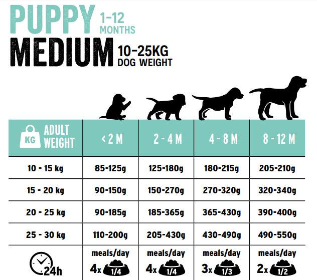 ΟΔΗΓΟΣ ΔΙΑΤΡΟΦΗΣ europremium dog and cat food chart puppy medium original petwithlove