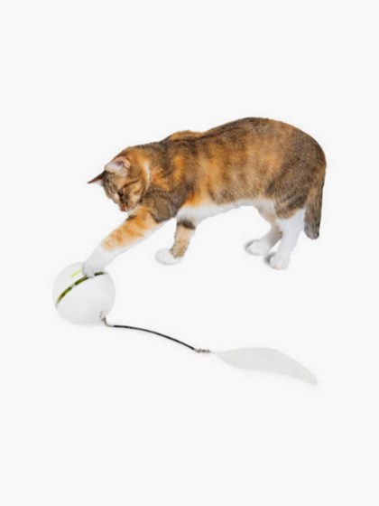 All For Paws Εκπαιδευτικό Παιχνίδι Γάτας Interactive Rolling Laser Ball 6,5x6,5x6,5cm