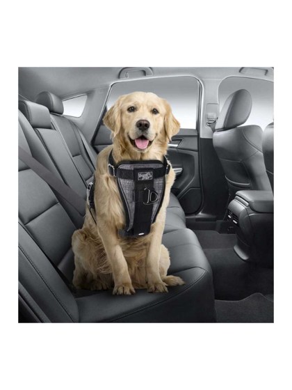 All For Paws Ζώνη Ασφαλείας Αυτοκινήτου για Σκύλο Σαμαράκι Medium