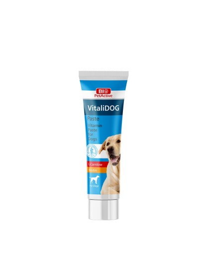 Bio PetActive Vitalidog Paste Adult Συμπλήρωμα Διατροφής για Σκύλους 100ml