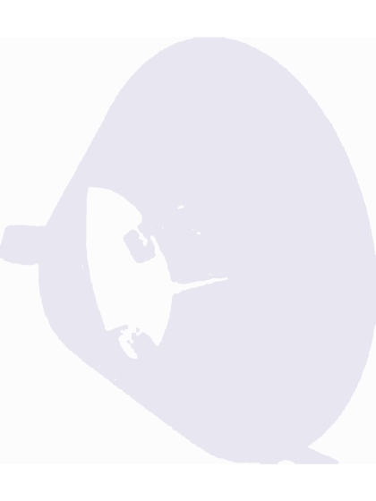 CURAVET Κολάρο αντιλείξεως 'Ελισάβετ', κλασσικό, διαφανές, 25cm