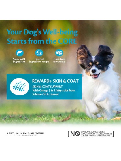 Wellness Core Reward Skin & Coat Grain Free Λιχουδιές για Σκύλους με γεύση Σολομό 170gr